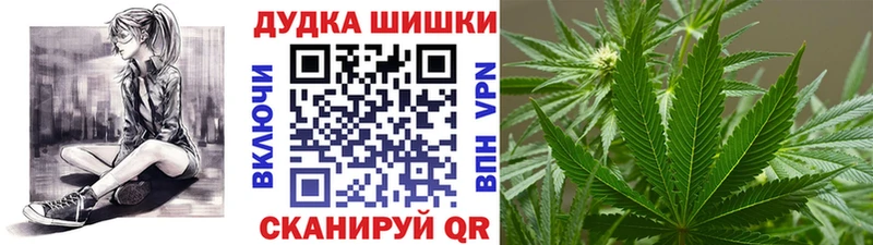 Купить закладку Заозёрск Альфа ПВП Гашиш