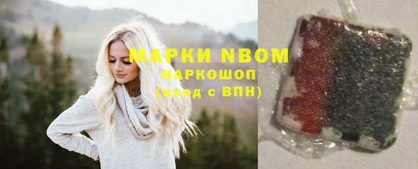 гашик Вязьма