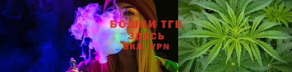 гашик Вязьма