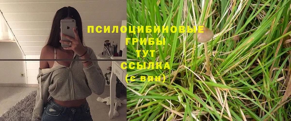 гашик Вязьма