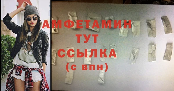 гашик Вязьма